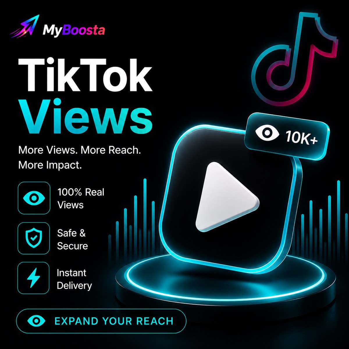 TikTok Visibility Campaign